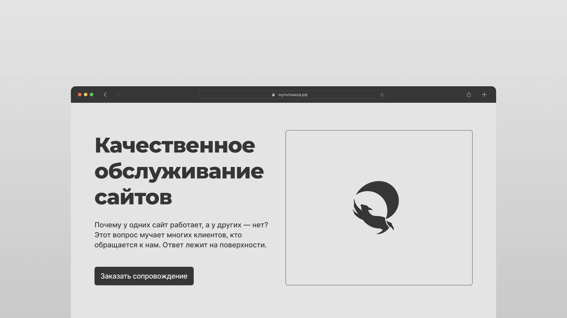Комплексное сопровождение сайтов в Биробиджане