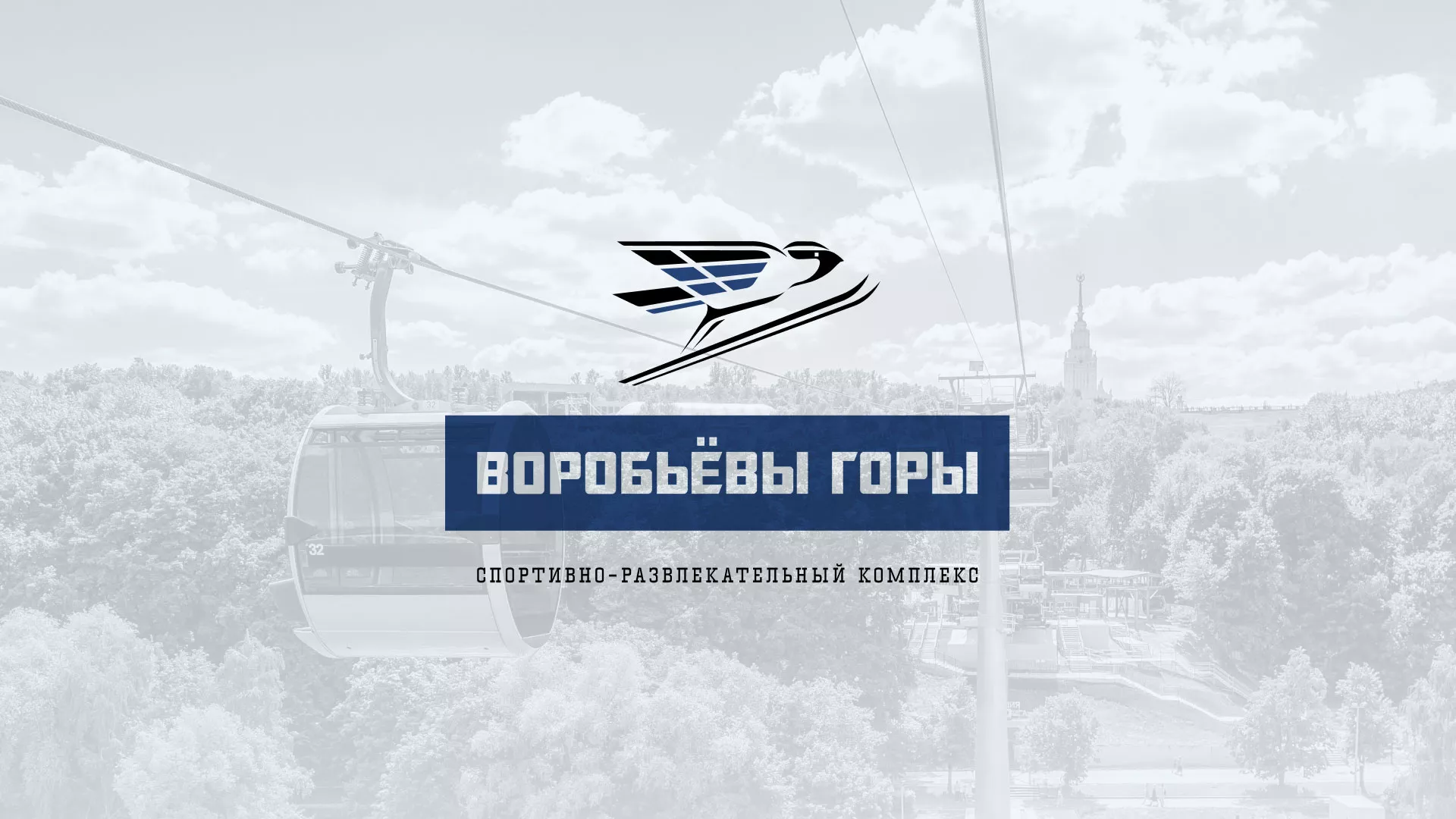 Разработка сайта в Биробиджане для спортивно-развлекательного комплекса «Воробьёвы горы»