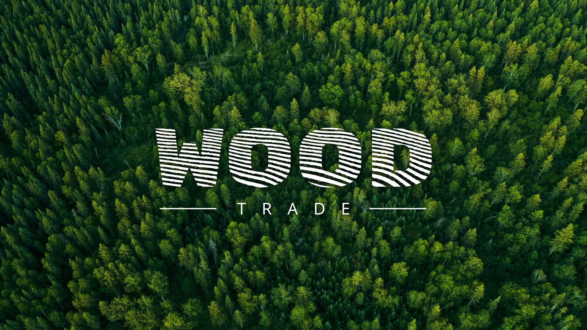 Разработка интернет-магазина компании «Wood Trade» в Биробиджане