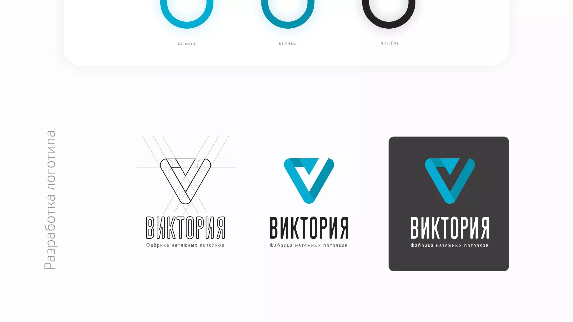 Разработка фирменного стиля компании по продаже и установке натяжных потолков в Биробиджане